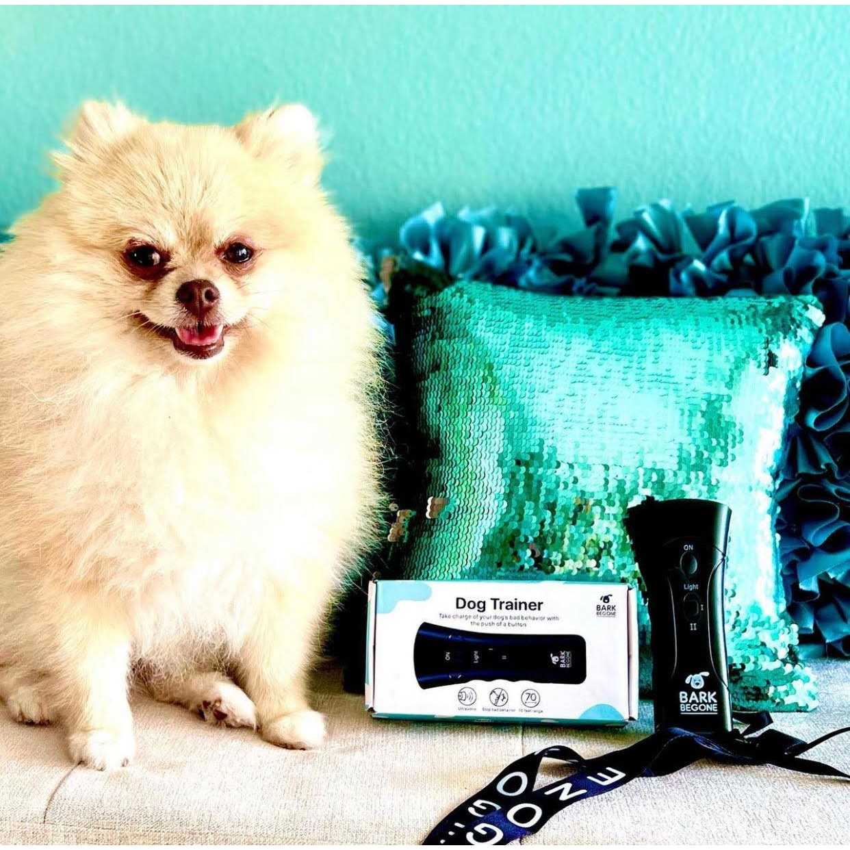 Stop Barking Device Bark Begone Ultrasonic Dog Trainer