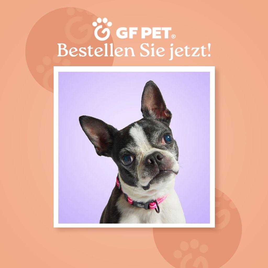 GF Pet Acrylic Double Feeder