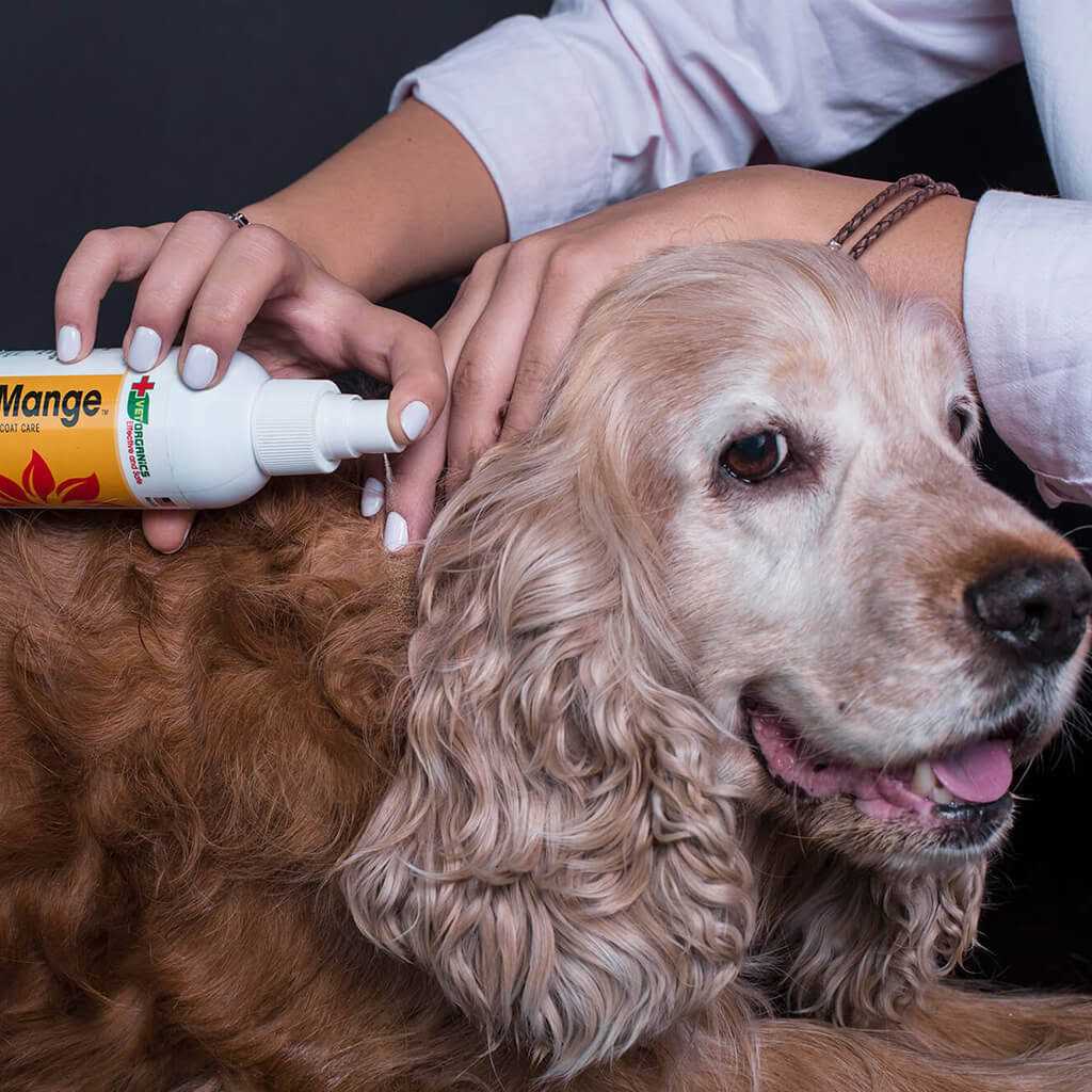 Vet Organics EcoMange Dog & Cat Mange Skin Treatment