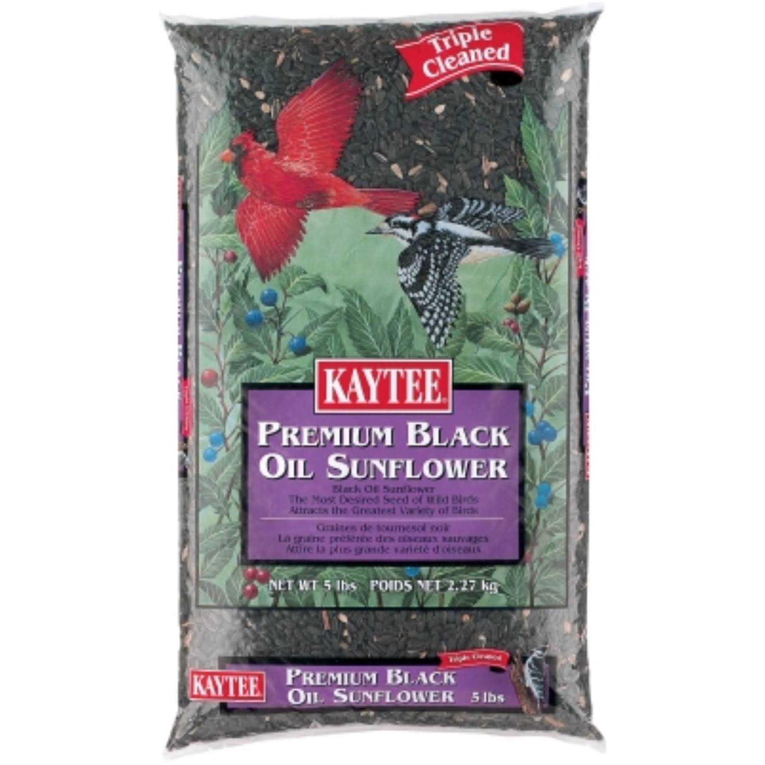 Kaytee Black Oil Sunflower Food