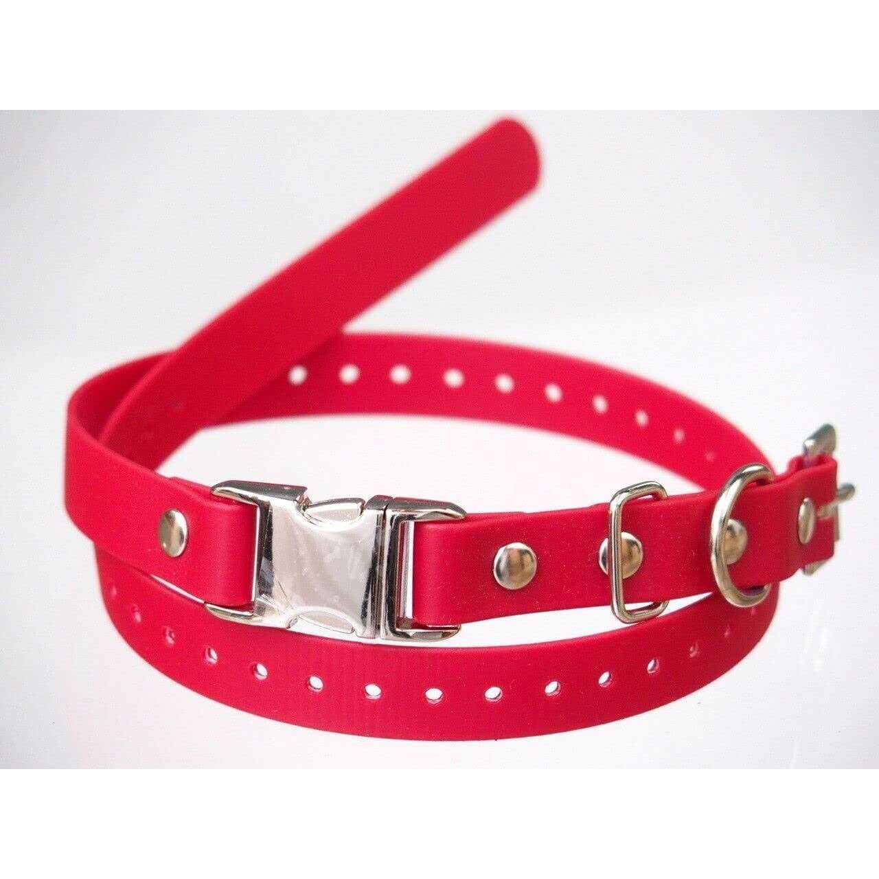 E-Collar Technologies 3/4 Width