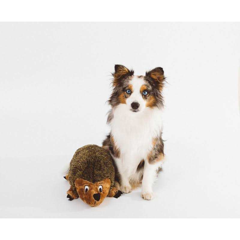 Outward Hound Hedgehogz Plush Dog Toy