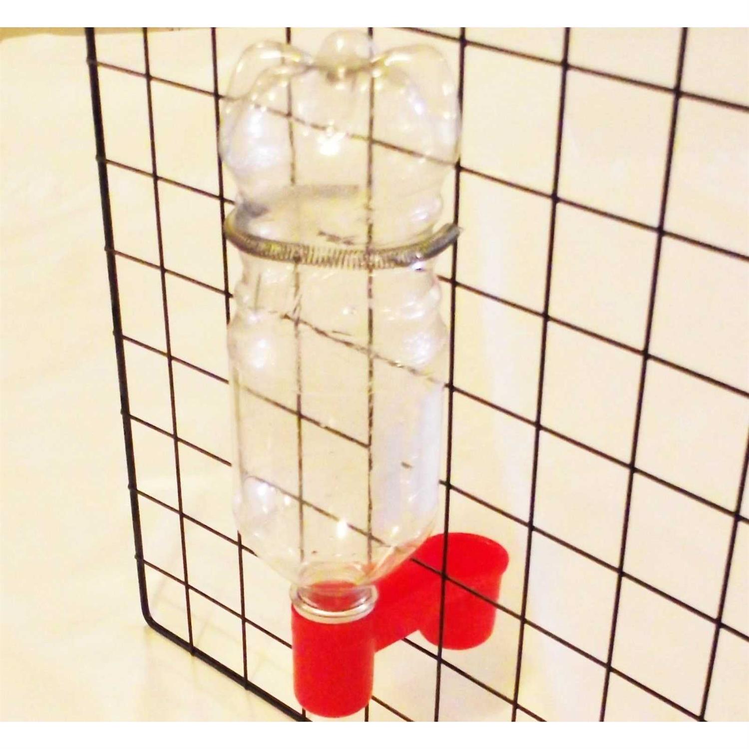 Soda Pop Water Bottle Bird Drinker Cup & Spring