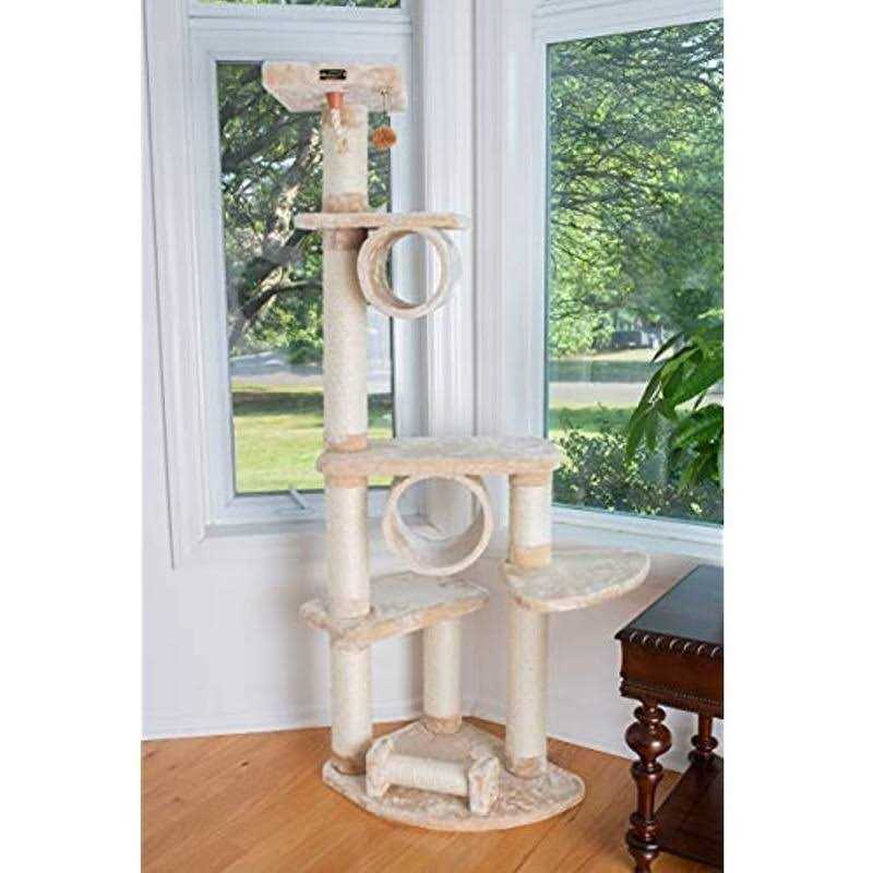 Dechra DermaLyte Shampoo