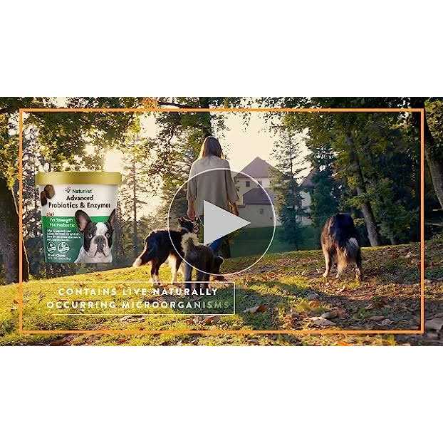 NaturVet Advanced Probiotics & Enzymes Soft Chews