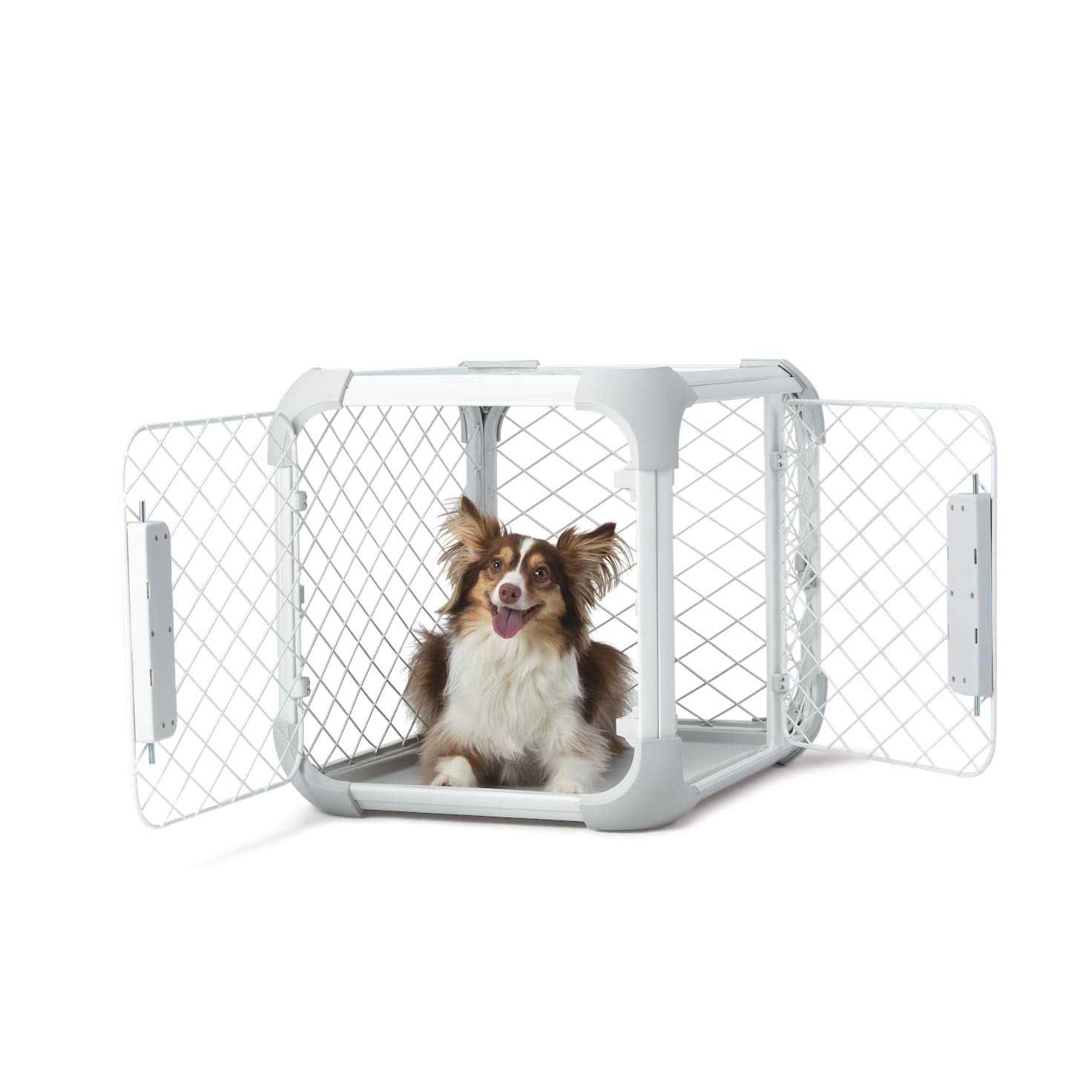 Diggs Evolv Dog Crate