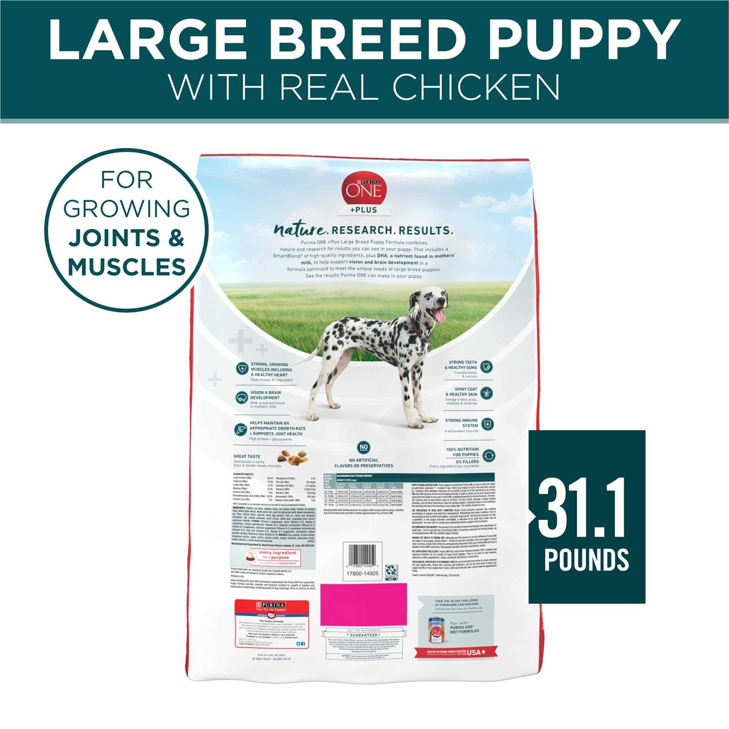 Purina ONE Large Breed Puppy Formula Dry Dog Food