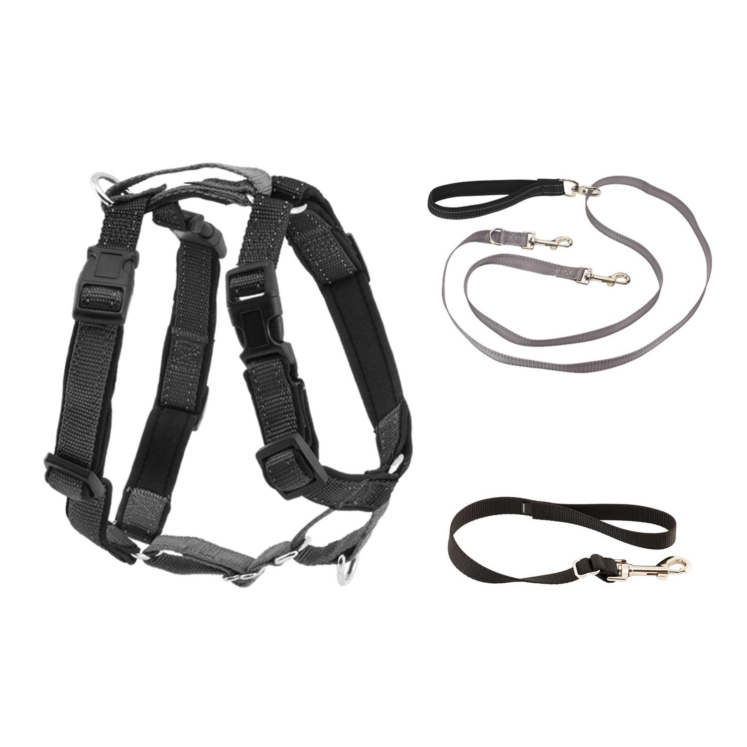 PetSafe 3 in 1 Harness with Two Point Control Leash