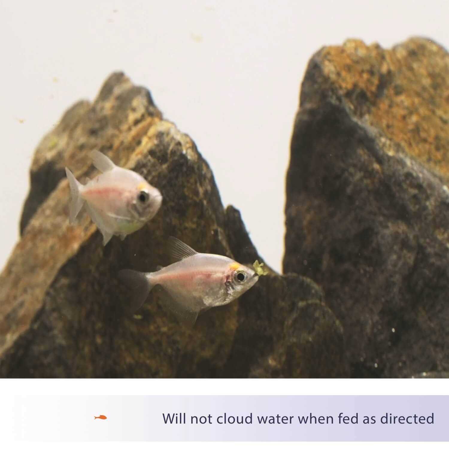 Aqueon Food Tropical Flakes