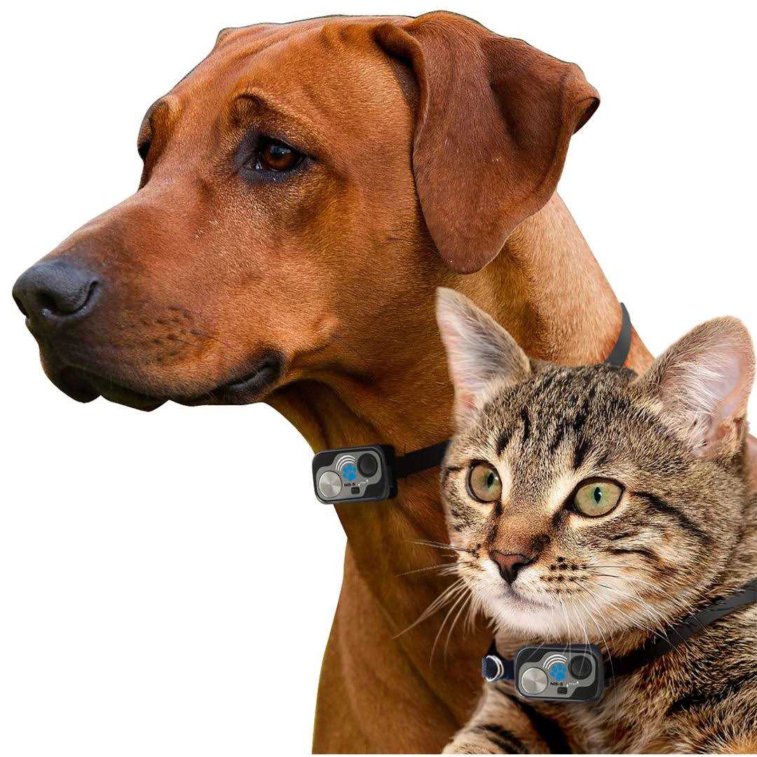 High Tech Pet WiFi Enabled Smartphone Controlled Automatic Dog and Cat Door