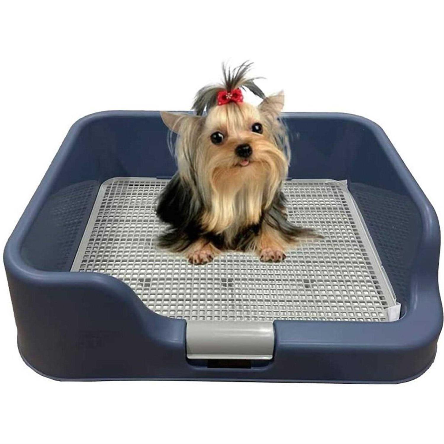 PS KOREA Indoor Dog Potty Tray with Protection Wall Every Side for No Leak, Spill, Accident