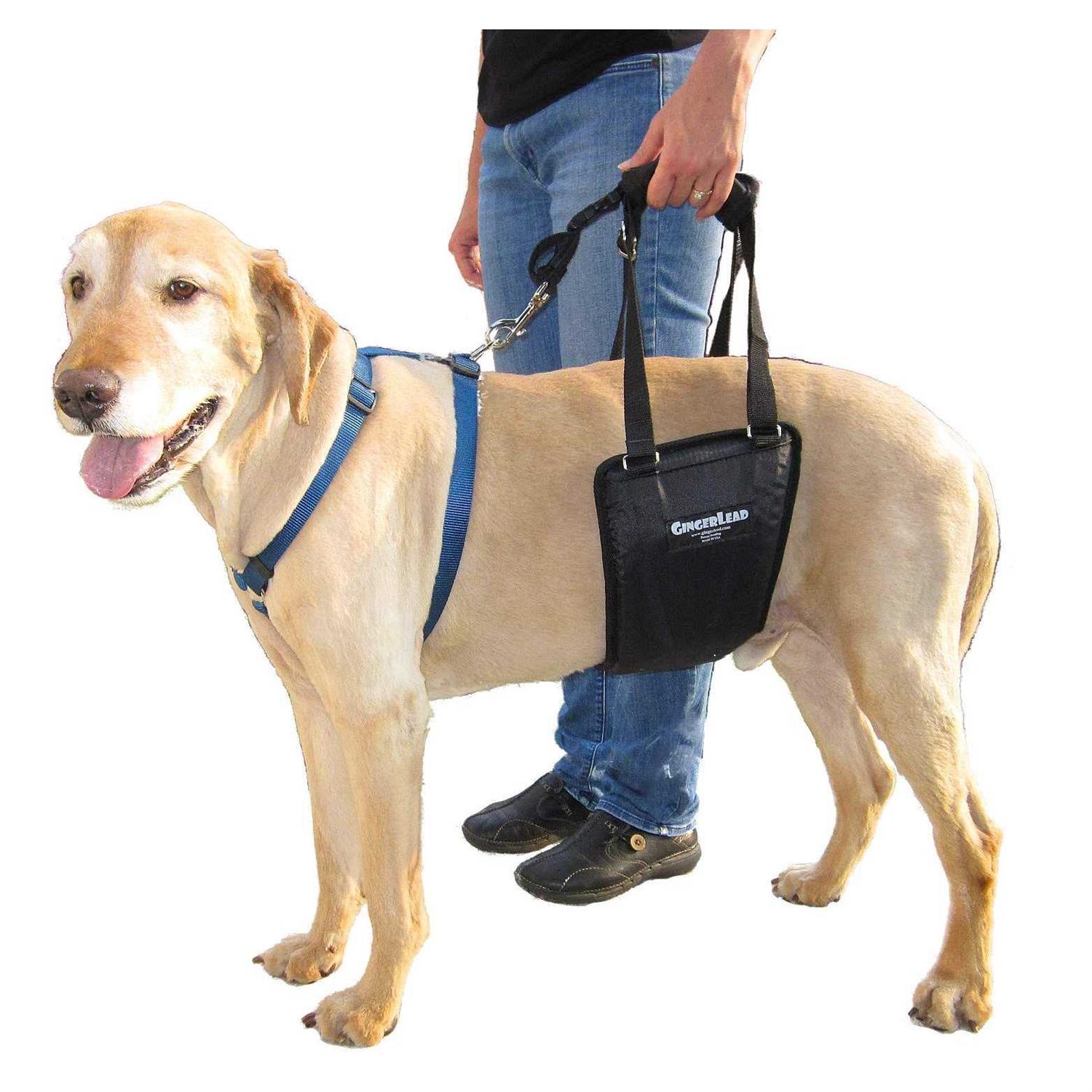 GingerLead Dog Support Rehabilitation Harness