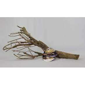 Zoo Med Talawa Mangrove Root