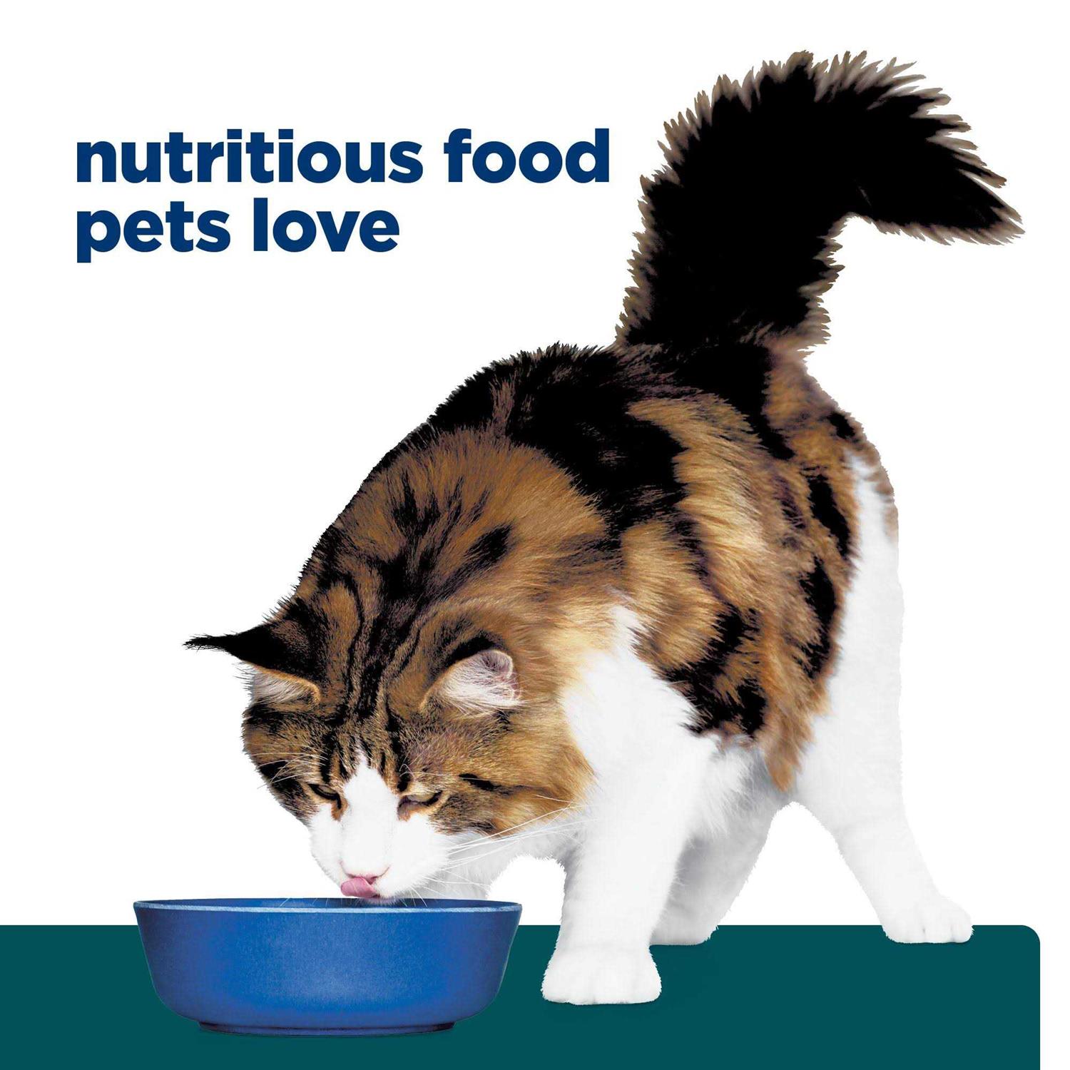 Prescription Diet w/d Digestive/Weight Management Feline Dry Food