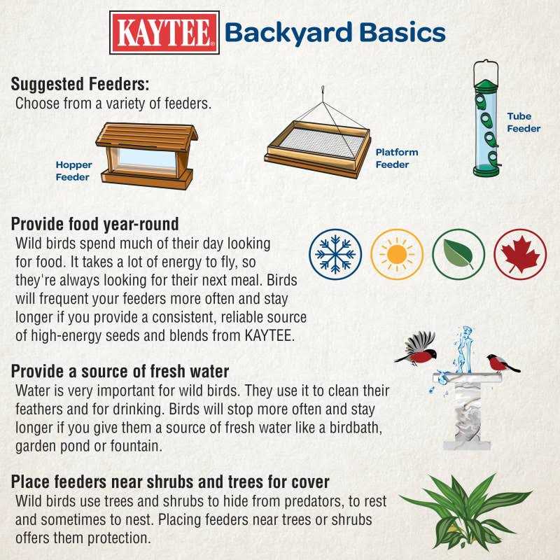 Kaytee Mealworms Bird Food