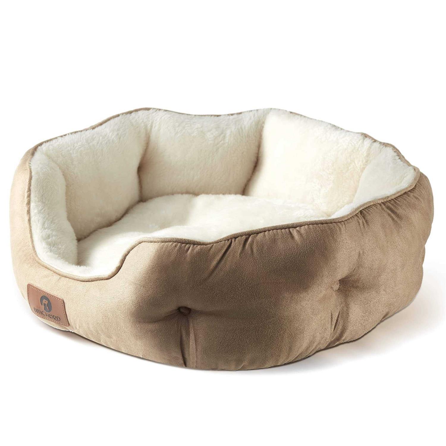 Asvin Small Dog Bed for Small Dogs, Cat Beds for Indoor Cats, Pet Bed for Puppy and Kitty