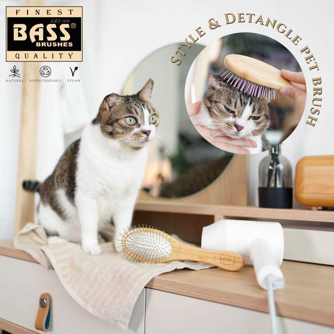 Bass Brushes Pet Brush Style Detangle