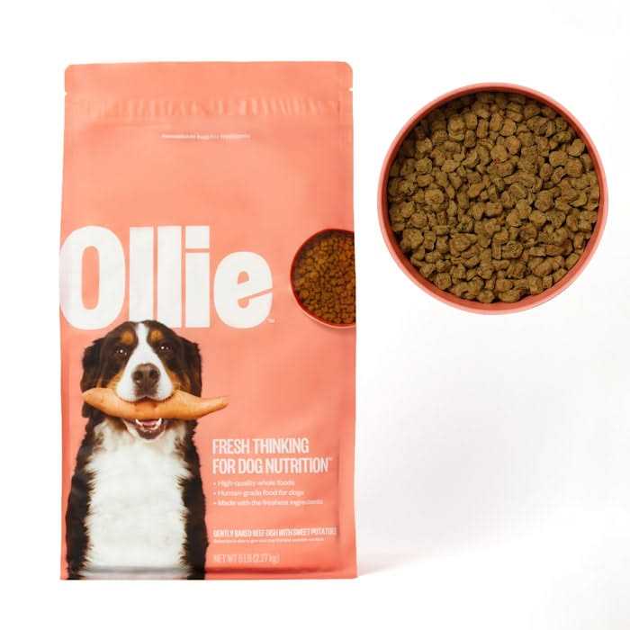 Ollie Baked Beef Dish with Sweet Potatoes Dry Dog Food