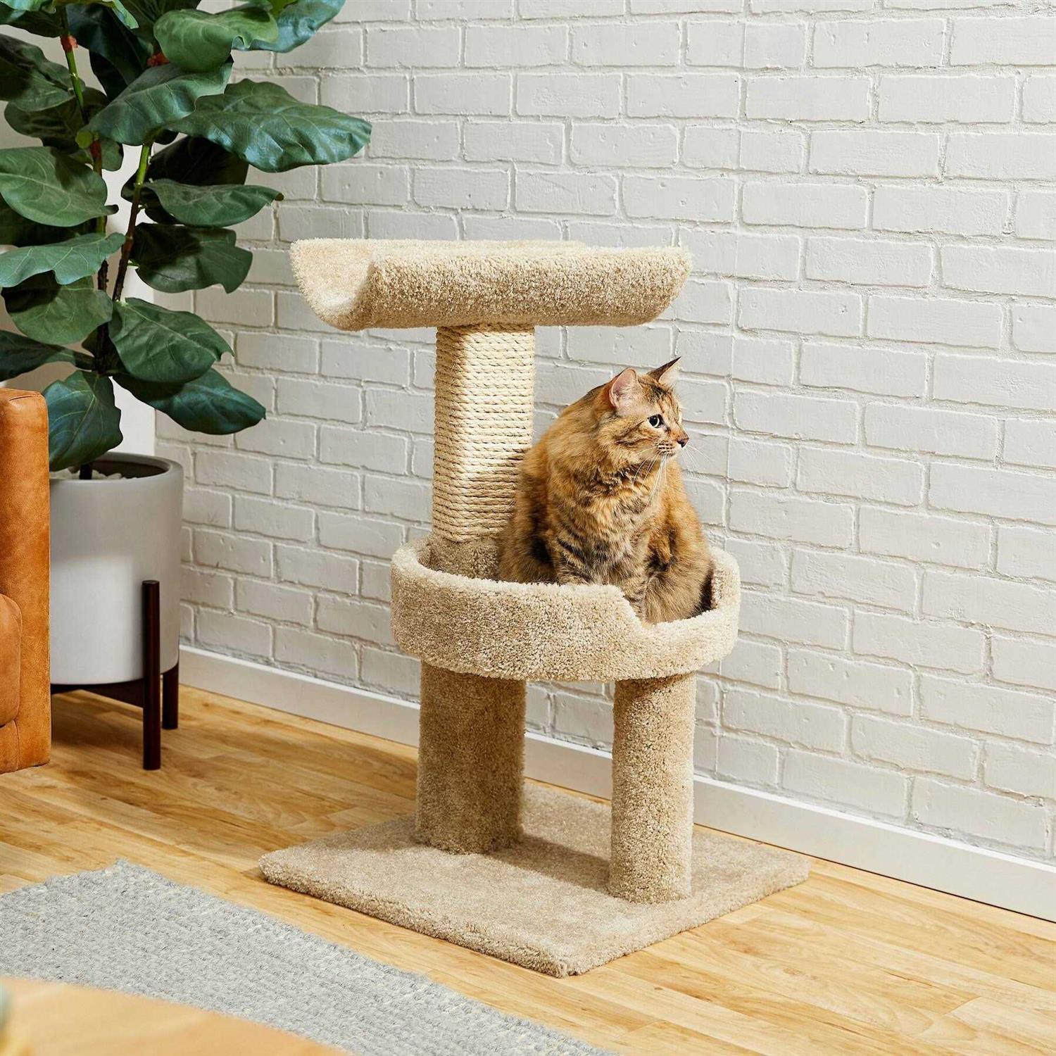 Frisco 32-in Real Carpet Wooden Cat Tree
