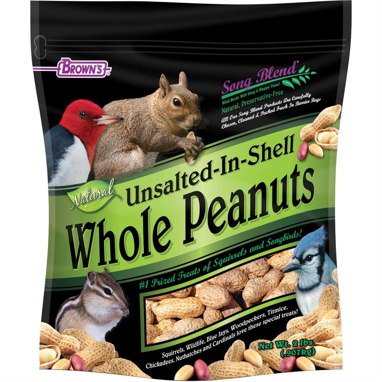 Song Blend Unsalted In-Shell Whole Peanuts Bird Food