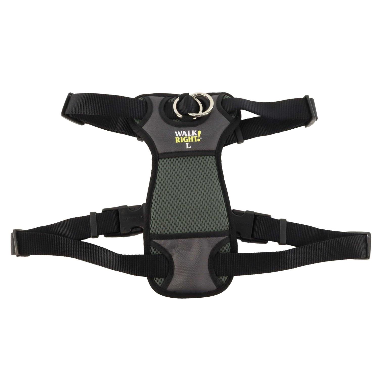 Coastal Pet Walk Right Padded Harness