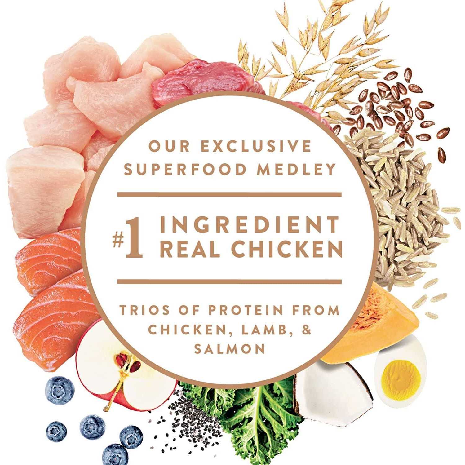 Nutro Ultra Senior Dry Dog Food