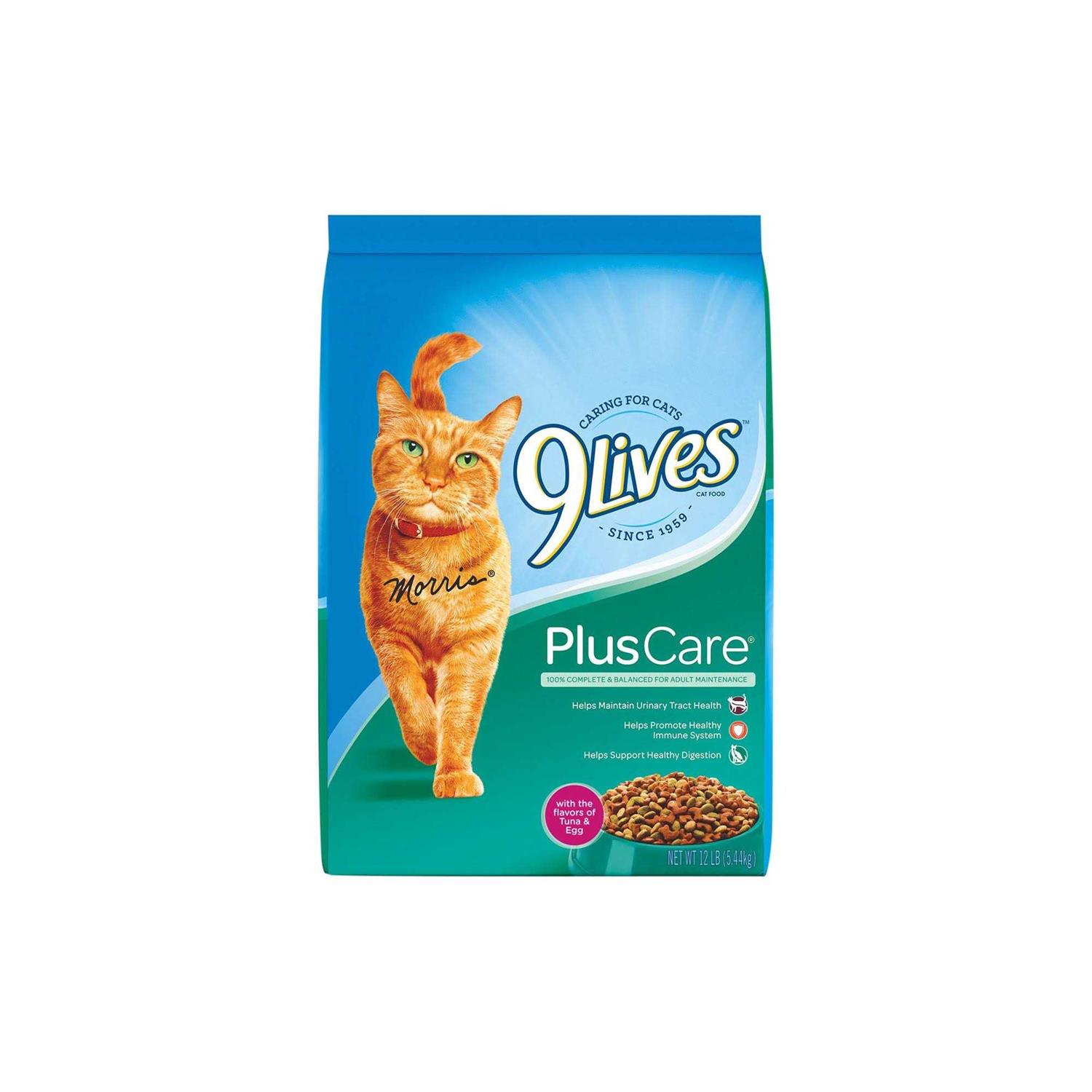 9Lives Plus Care Dry Cat Food