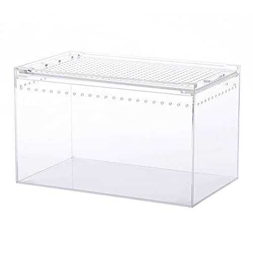 NANEEZOO Magnetic Acrylic Enclosure 10x6x6 Inch Tall Long Case Reptile Habitat Terrarium cage for Terrestrial Arboreal Tarantula Scorpion Sling