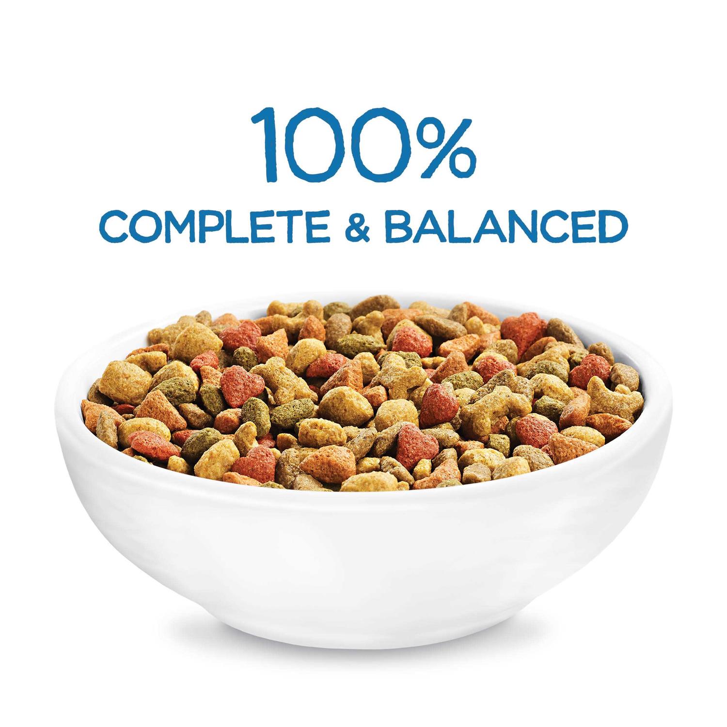 Purina Beneful Healthy Puppy Dog Dry Food Chicken