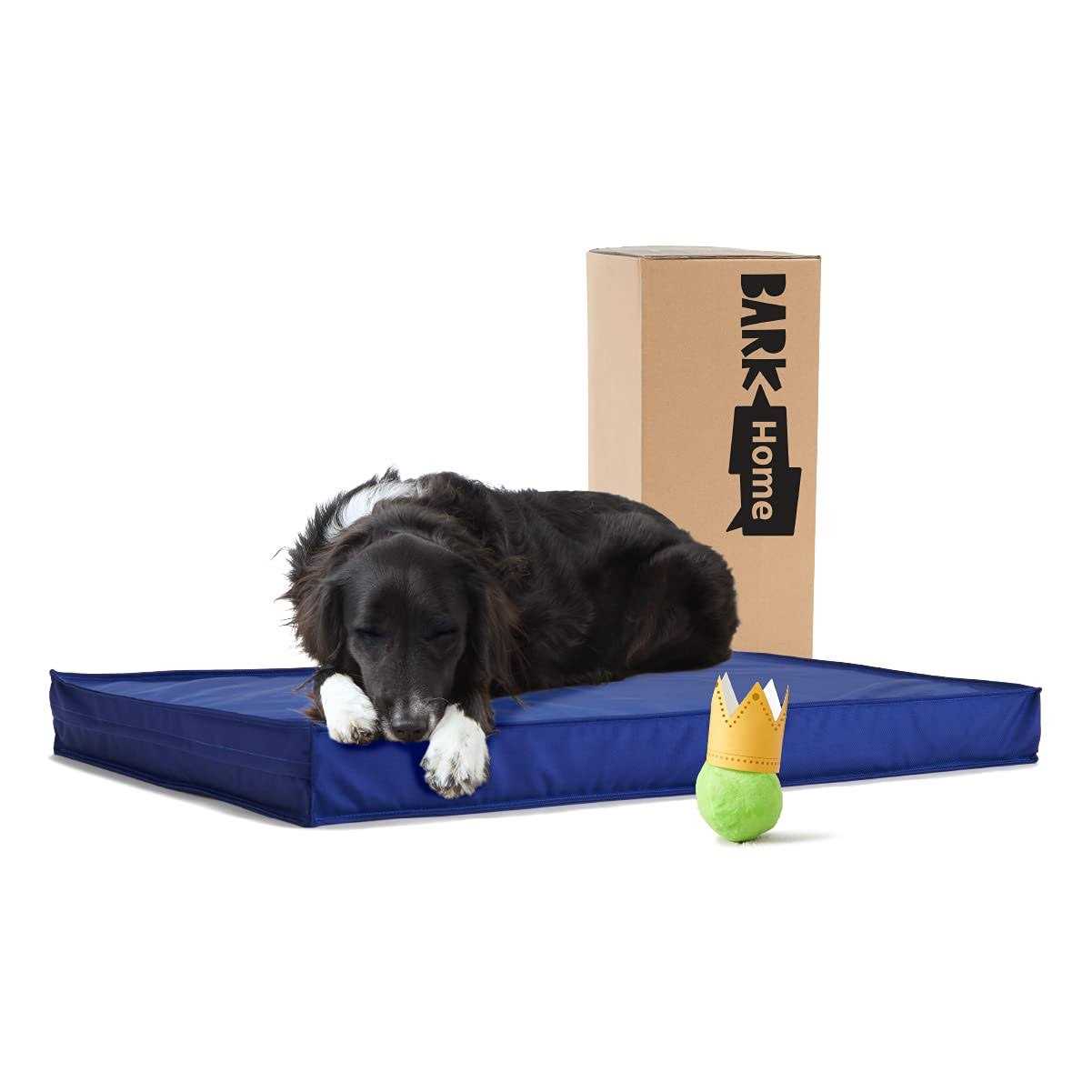 Barkbox Outdoor Dog Bed Waterproof Dog or Cat Mattress Bed with Removable Cover