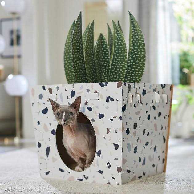 Frisco Potted Succulent Cardboard Cat House