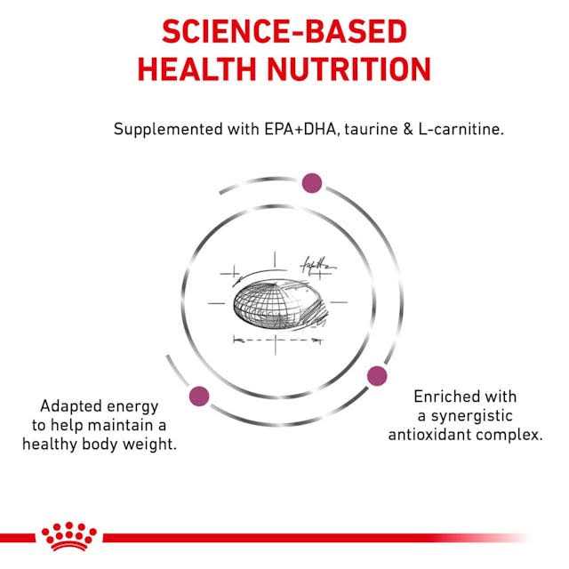 Royal Canin Veterinary Diet Canine Renal Support D Morsels in Gravy Canned Dog Food
