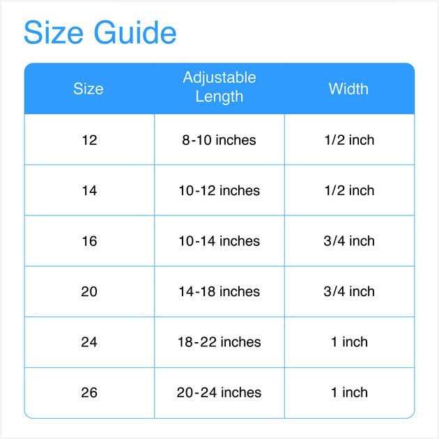 OmniPet Signature Leather Dog Collar