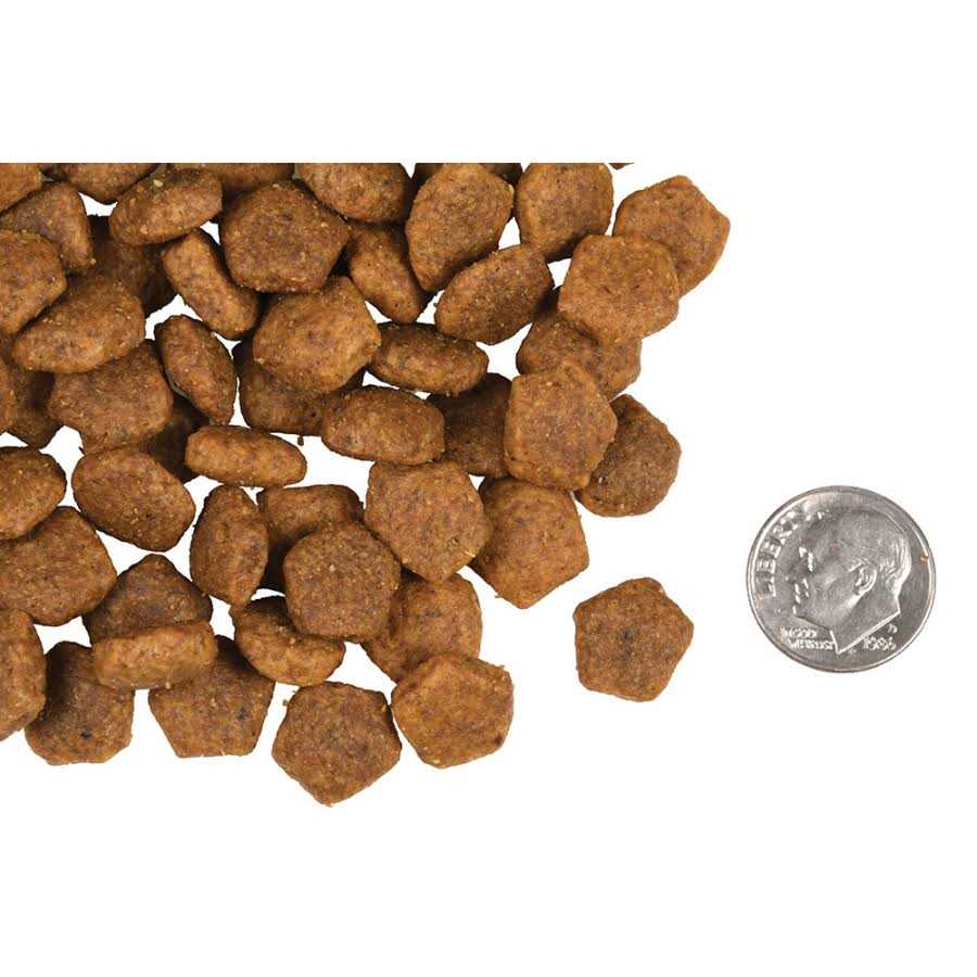 Fromm Heartland Gold Adult Dog Food