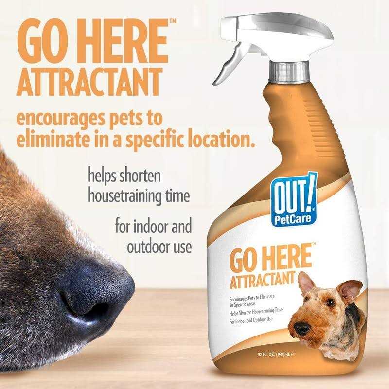 Out! Petcare Go Here Attractant Indoor and Outdoor Dog Training Spray