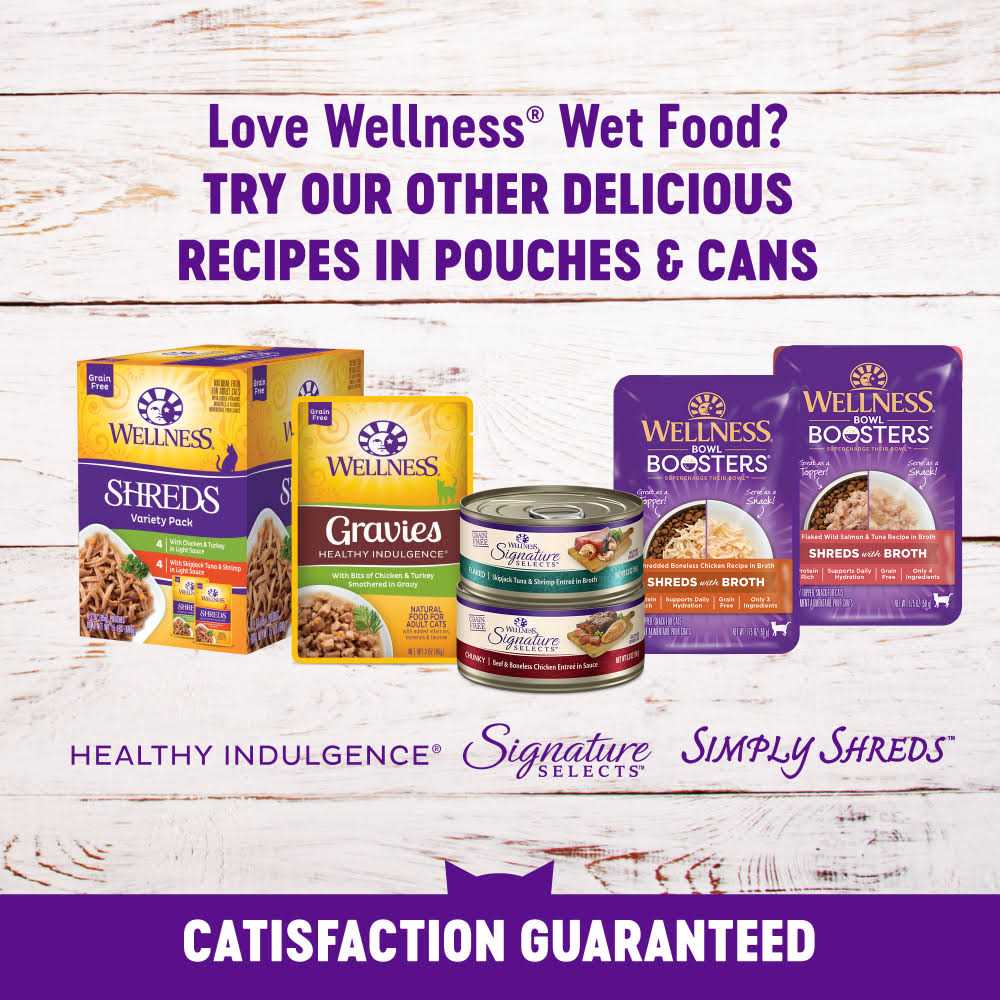 Wellness Healthy Indulgence Morsels Cat Food