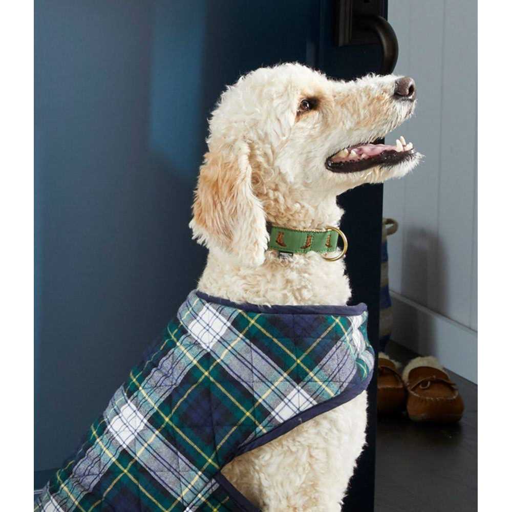 L.L.Bean Novelty Dog Collar