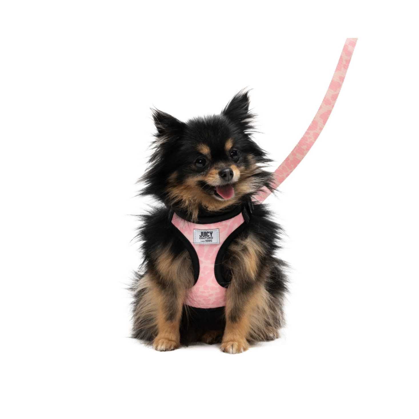 Juicy Couture Harness & Leash Set
