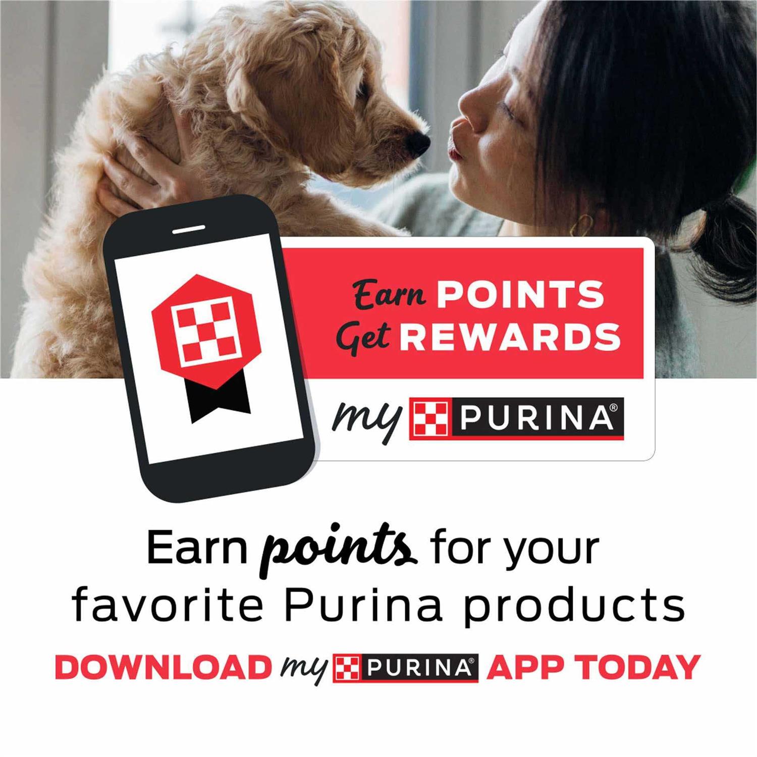 Purina Cat Chow Indoor Dry Cat Food