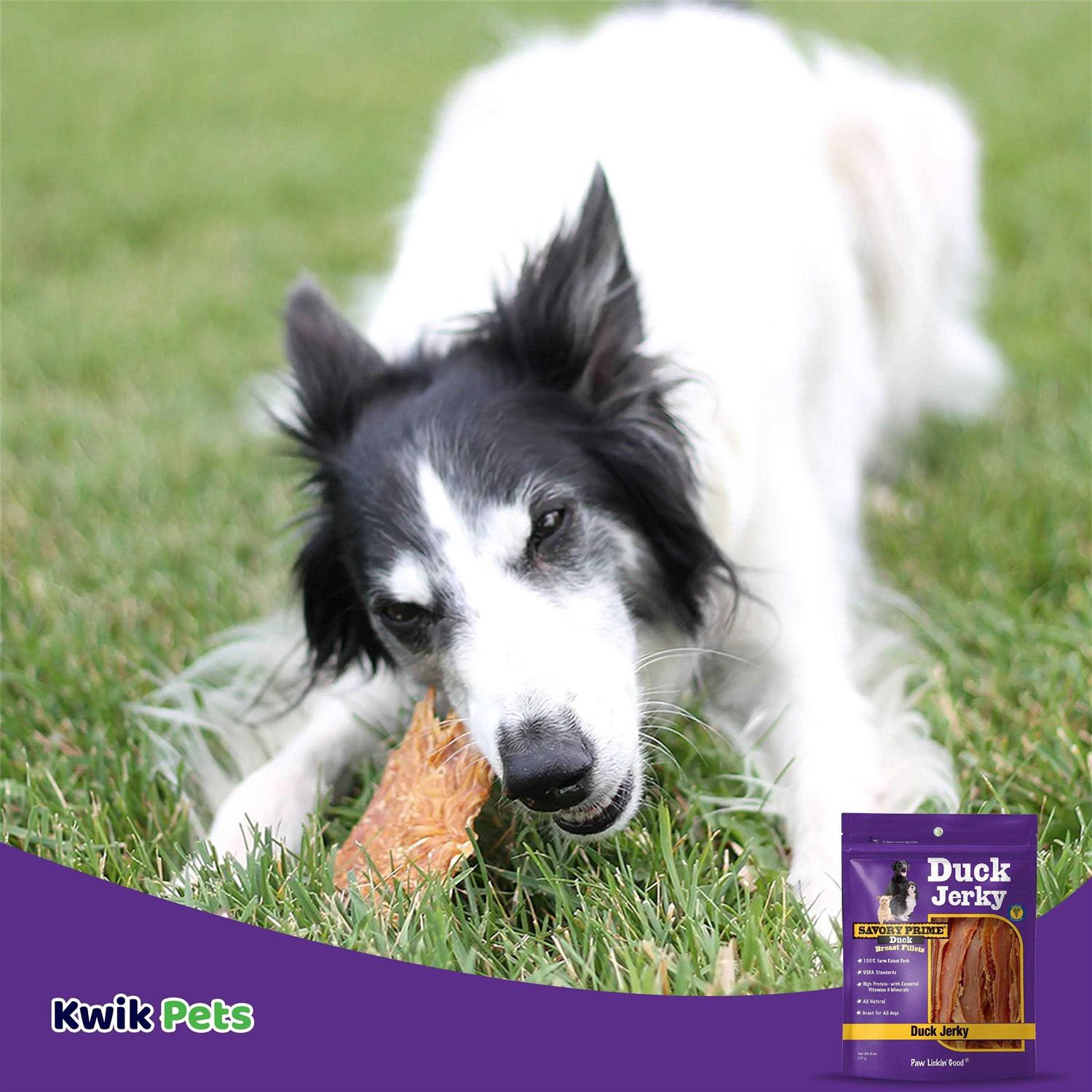 Savory Prime Natural Duck Jerky