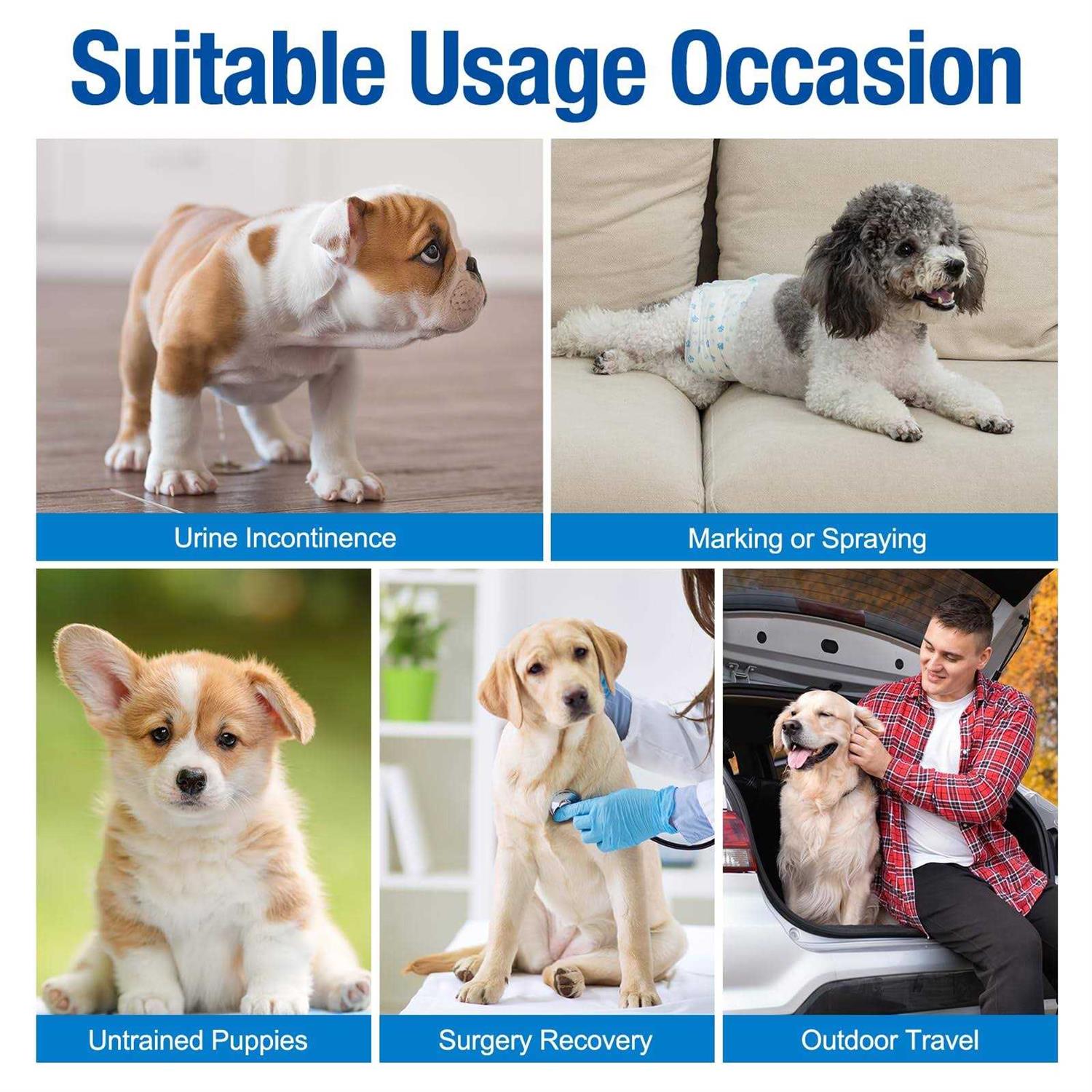 Pet Soft Disposable male Wrap Dog Diaper,12Pcs,M