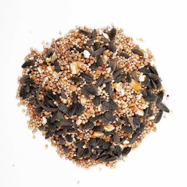 Wagner’s Classic Wild Bird Food