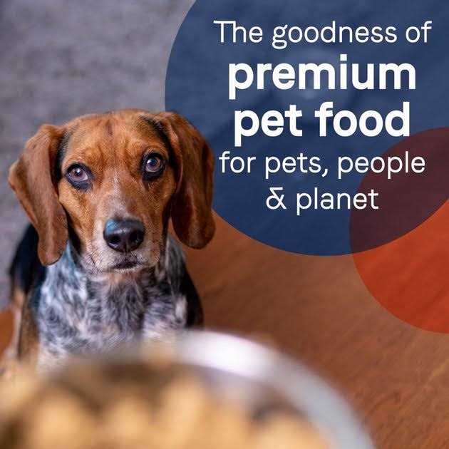 Canidae Grain-Free Pure Limited Ingredient Salmon & Sweet Potato Recipe Canned Dog Food