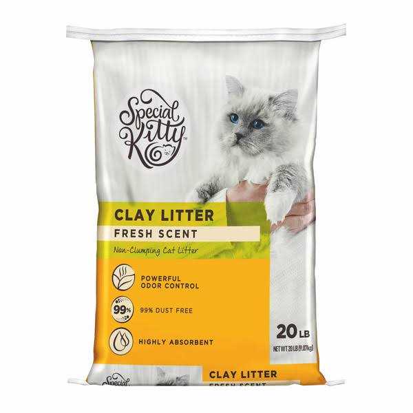 Special Kitty Fresh Scent Non-Clumping Clay Litter