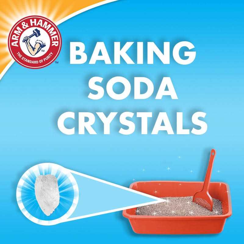 Arm & Hammer Ultra Last Clumping Litter