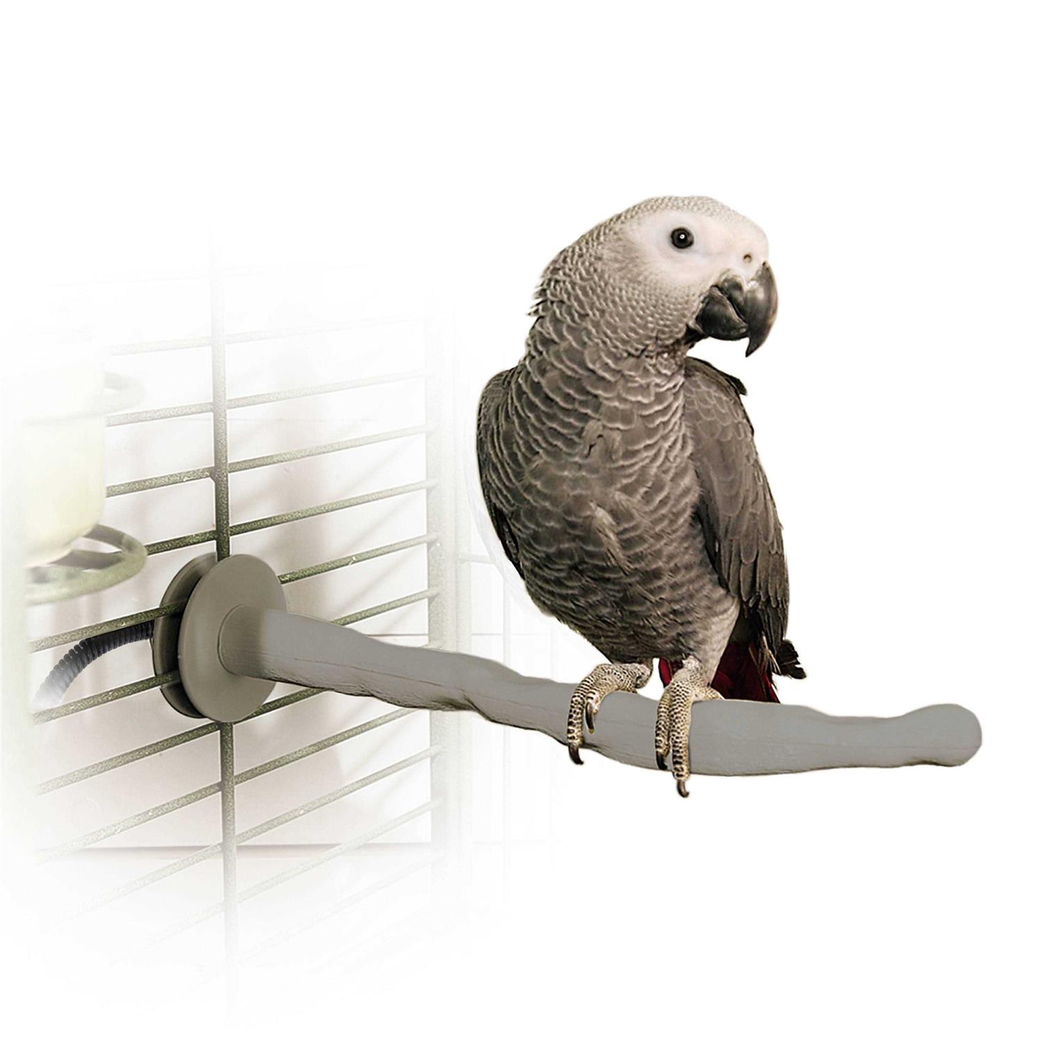 K&H Pet Products Bird Thermo-Perch