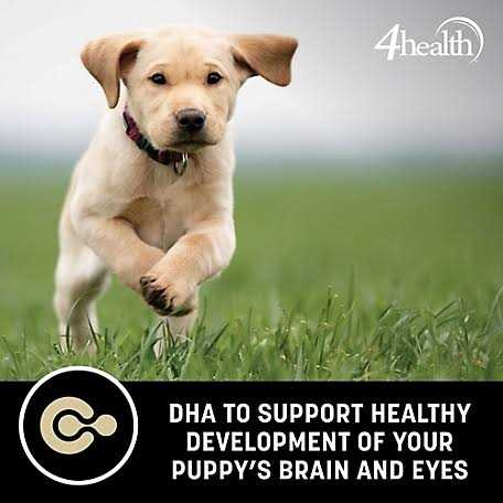 4health Grain Free Puppy Dog Food