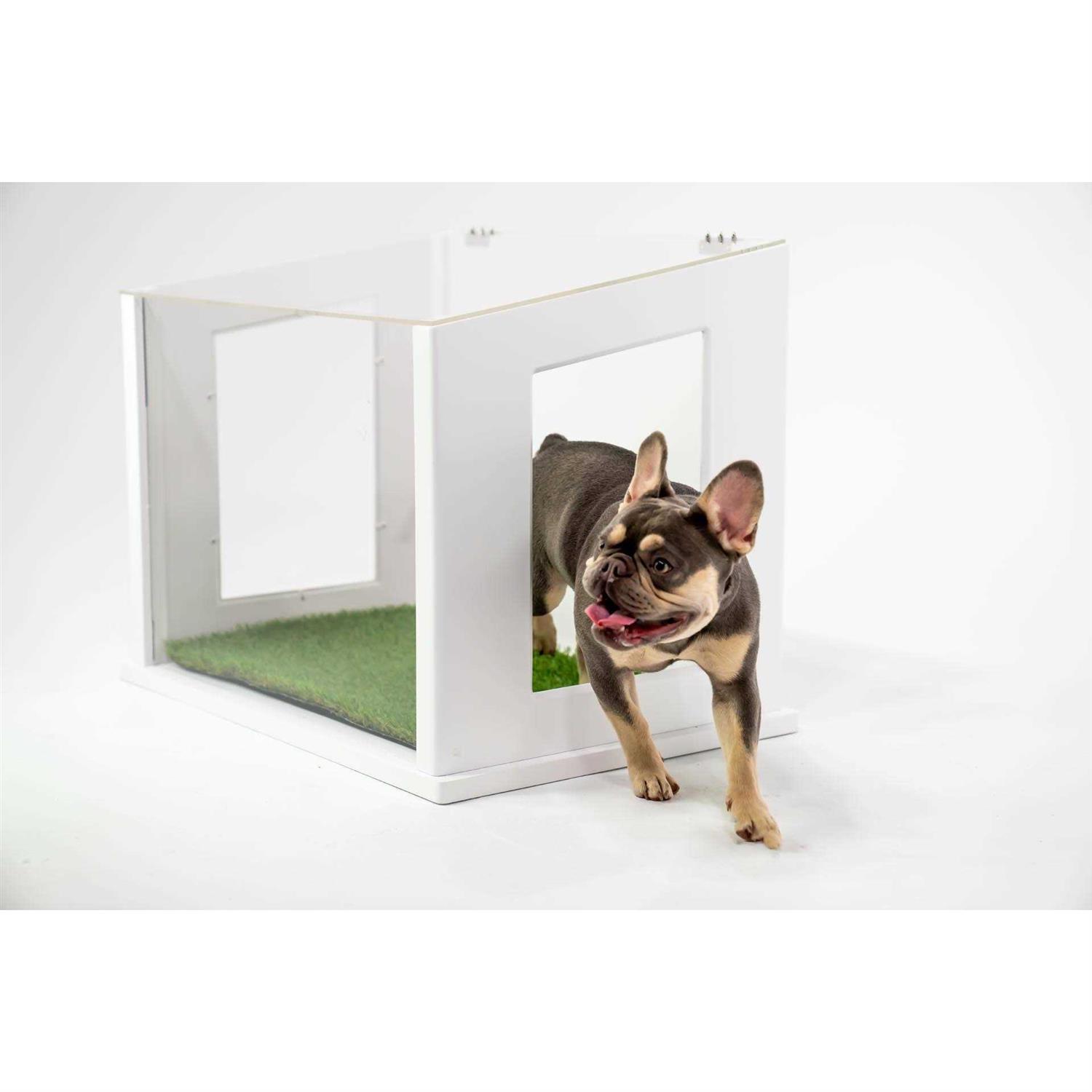 City Loo, Chic Dog or Cat Potty