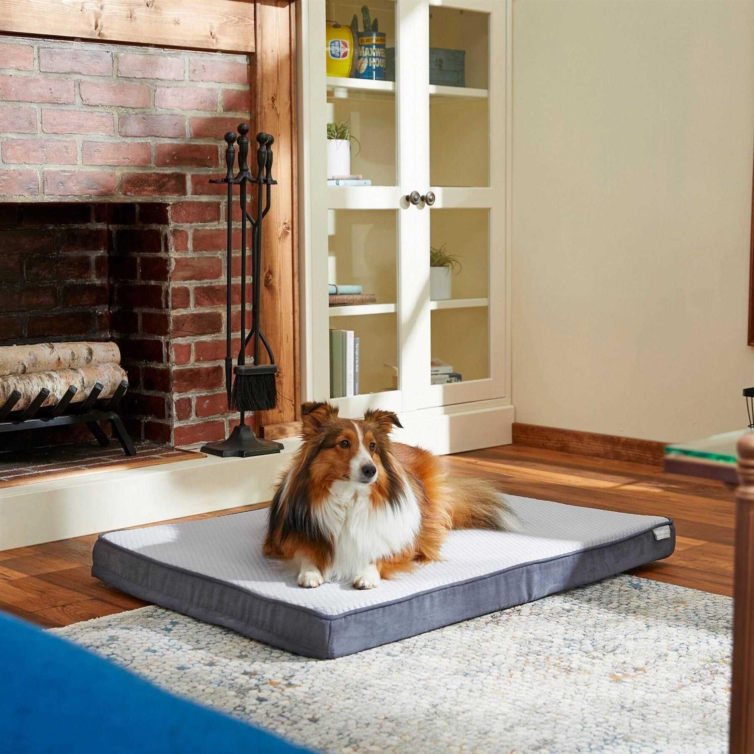 Frisco Cooling Orthopedic Pillow Dog Bed w/Removable COVER Large