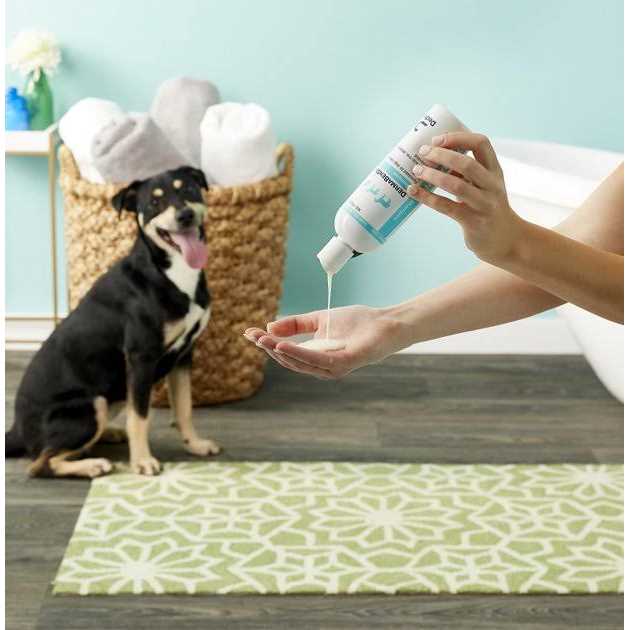 DermaBenSs Shampoo 12oz